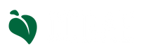 Curae